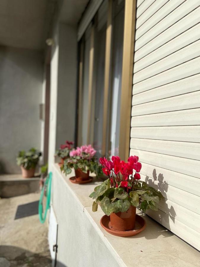 Domuspes Apartman Sedilo Kültér fotó